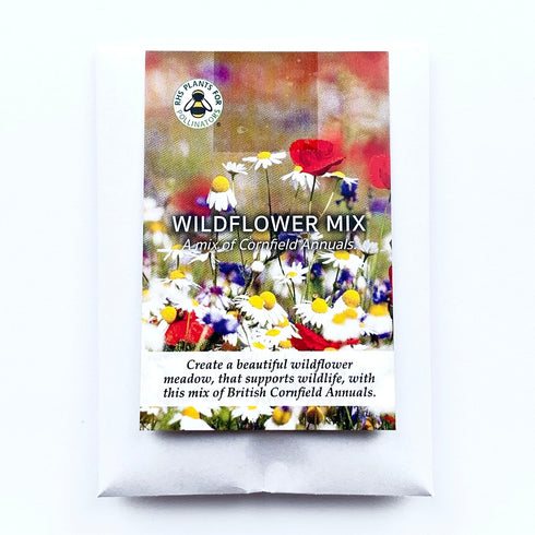 Wildflower Meadow Seed Mix - Cornfield Annuals